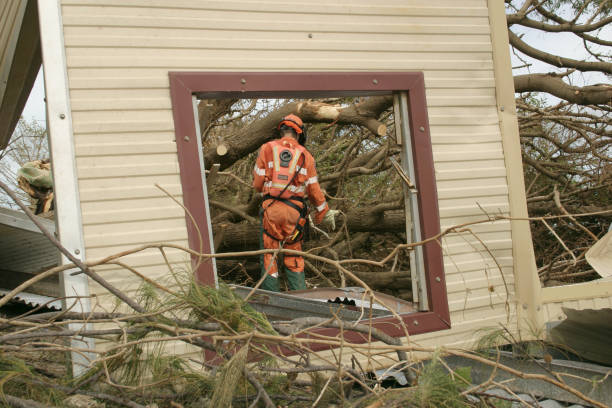 Best Tree Maintenance Programs  in Telluride, CO