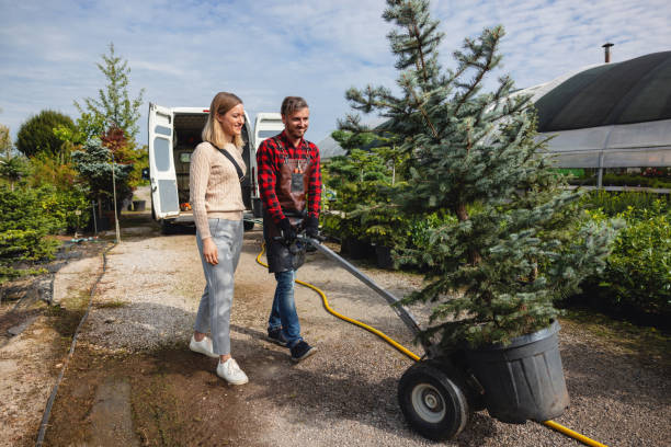 Best Pest Control for Lawns  in Telluride, CO